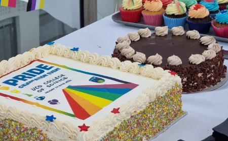 Colourful cake and cupcakes at the Pride Celebration of the UCD College of Science